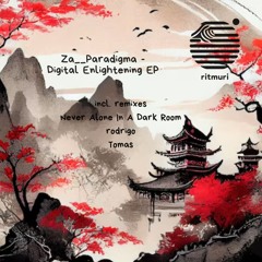 Za__Paradigma - Digital Enlightening (Tomas Remix) Preview
