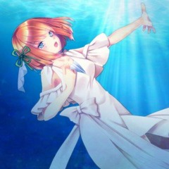✨Kohaku Merry