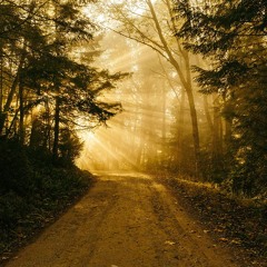 Re-cognizing Reality, Valuing Employing The Preferred Runningness - 2024-07-12