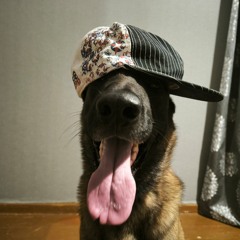 Sativa & Belkin - На ус