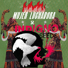 MUJER LUCHADORA x INDIGNO SEEDS "The New Middle East & Arabic Female Scene"