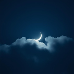 Moonlight Knows