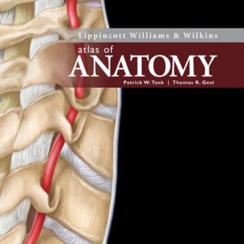 [ACCESS] KINDLE 💖 Lippincott Williams & Wilkins Atlas of Anatomy (Point (Lippincott