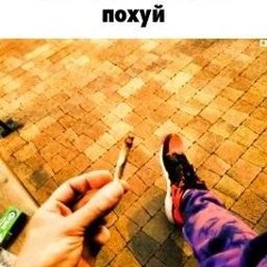 янгтраппа фристайл