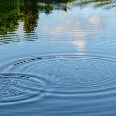 Ripple (Grateful Dead Cover)