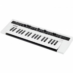Flangelis (A Yamaha Reface CS Experiment)