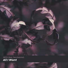 All I Want (feat. Tara Gabriel)