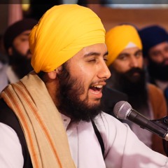 Bhai Taran Singh - Dgn Rainsabaee 2025