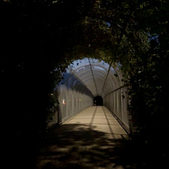 Let it all out (original version)