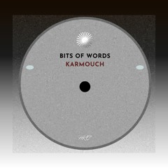 Bits of Words