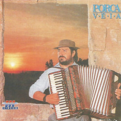 Festança Nos Barretos