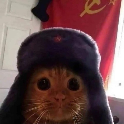 no russian w/ xvvr (prod. iynlane x me)