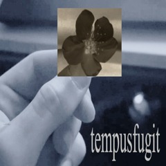tempusfugit