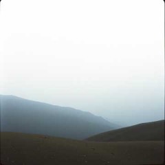 Under the Pale Sky