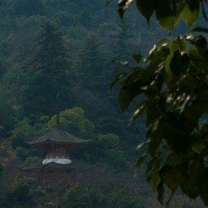 Le béguin pour Brun [OG CALL] (05.10.23)