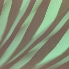 Zeeman Effect  [SEMANTICA]