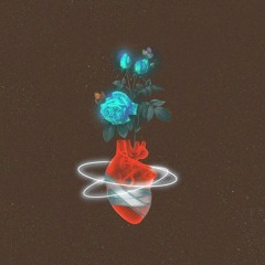 Where Are You - Nocta