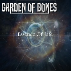 Essence Of Life