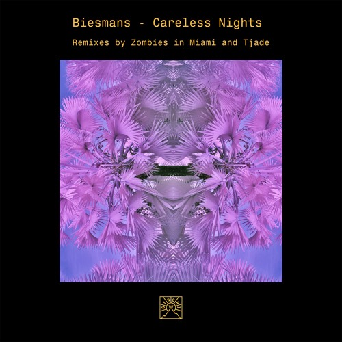 INCOMING : Biesmans - Careless Nights (Original Mix) #Sinchi