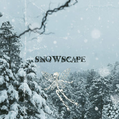 snowscape （feat.LiesiN prod.wayziss+dollatega）
