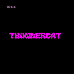 “ThunderCat”