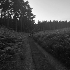 chasing [unfinished] (May 2023)