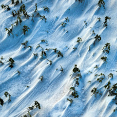 Milk Of The Madonna (Deftones cover)