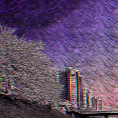 THE NIGHTS