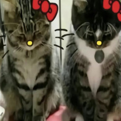 RAHHHHHHHHHH🍄🍄‍🟫💊⚠️🔞