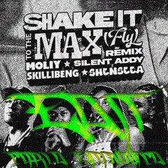 Carlo Giannico - Shake To The Max (Edit)