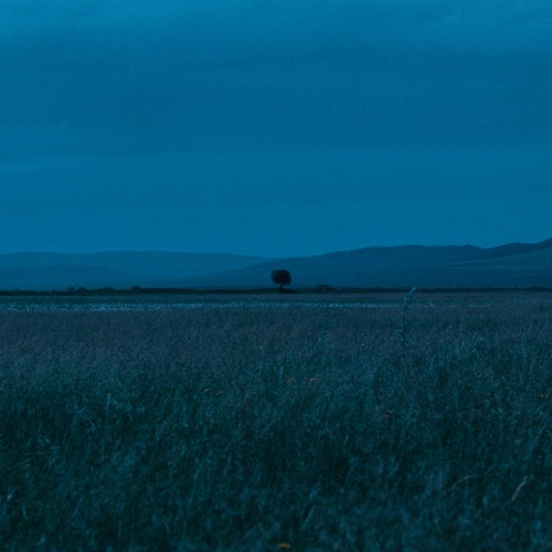 Houle - outside