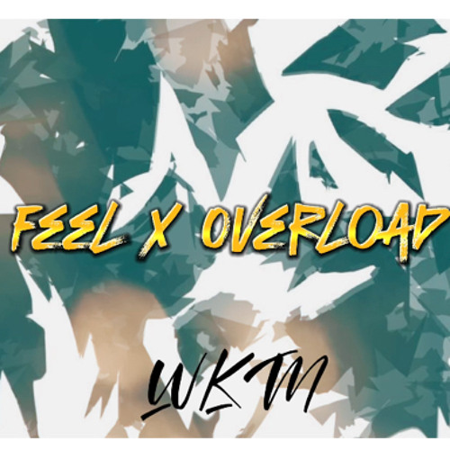 FEEL X OVERLOAD (WKM) 2023