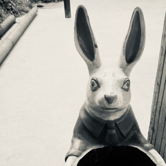disquiet0578 - bunny bimodal