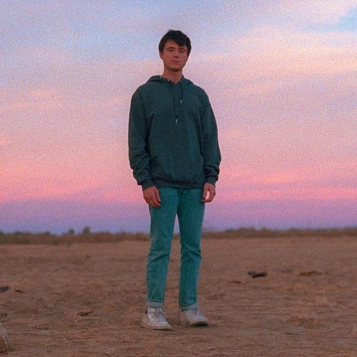 Alec Benjamin - The Way You Felt (Acoustic) 