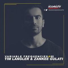 Variable Frequencies (Mixes by Tim Langler & Zankee Gulati) - VF62