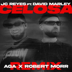 Celosa (AGA x ROBERT MORR REMIX)