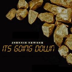 It's Going Down [Prod. Montaediddis] (clean)