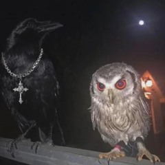 OFF THE JAB PACK DAY 6 [ Lamponthebox x jabaricobain ]