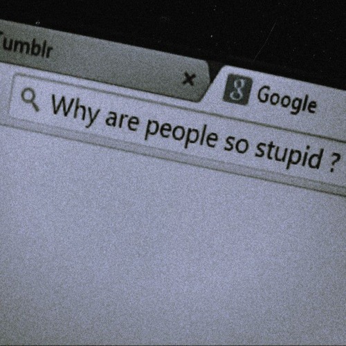 why are people so stupid ?