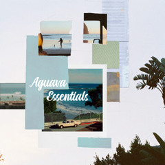 Aguava Essentials