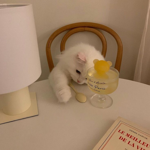 𝐵𝑎𝑏𝑖 𝑐ℎ𝑜 𝑎𝑛ℎ 𝑚𝑜𝑛𝑔 𝑚𝑒𝑟_ 𝙳𝙰𝙳𝚄𝙲 // speed up ver