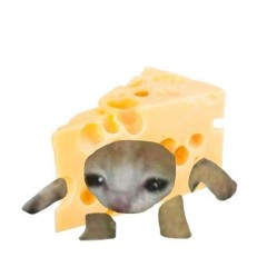 my space #kdR #shikihills prod me