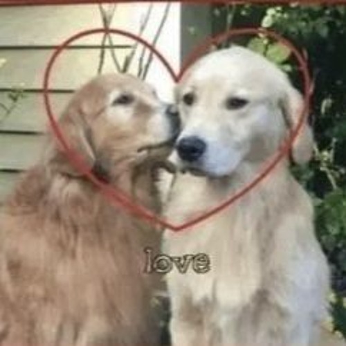 there is a dog in all of us <3 (dof 3)