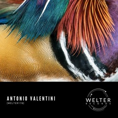 Antonio Valentini - Apogeo [WELTER178]