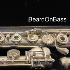 BeardOnBass - Will The Wind