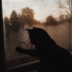 #Chẩm thán/怎叹