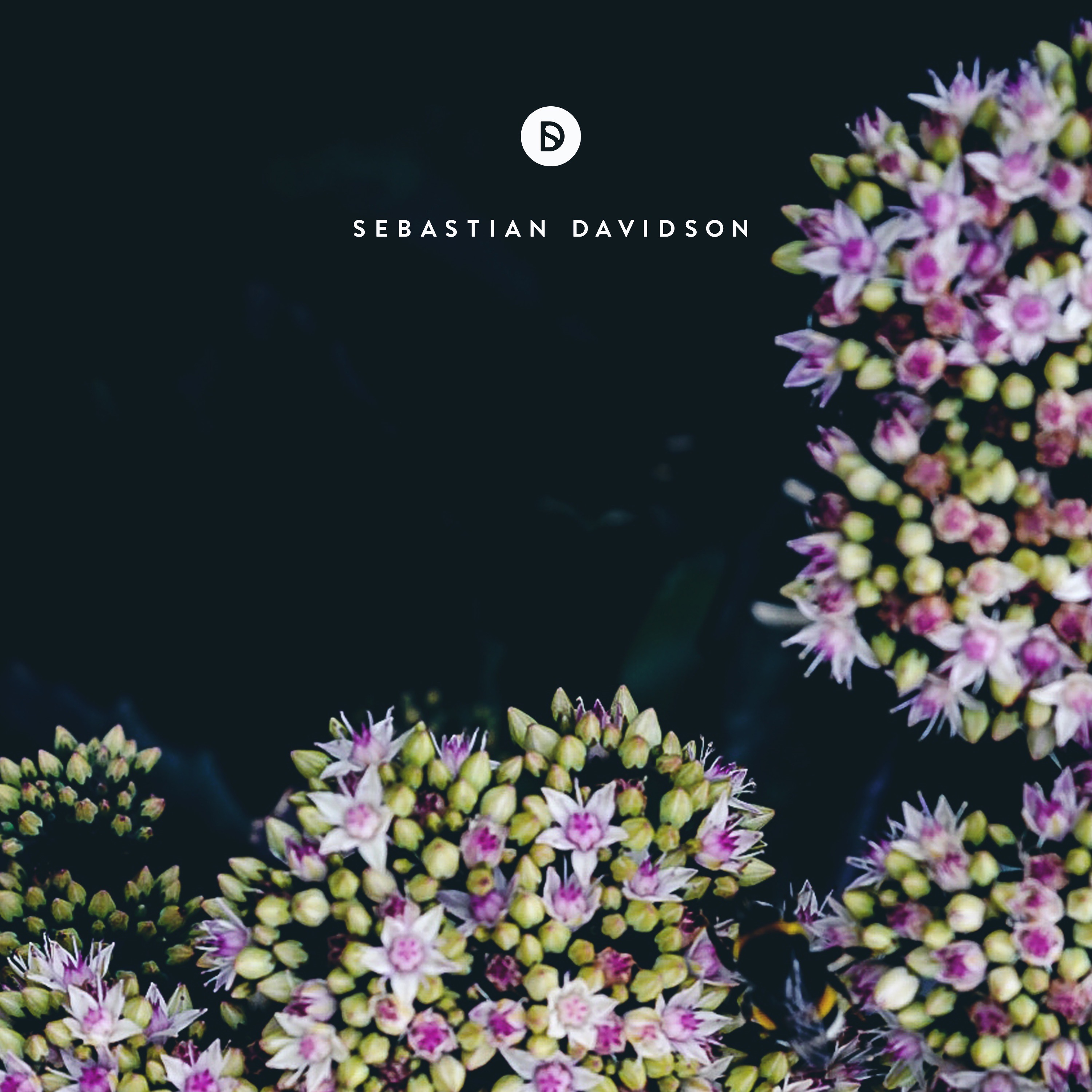 Voyage of Discovery by Sebastian Davidson