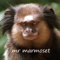 Everyone is into Weirdness