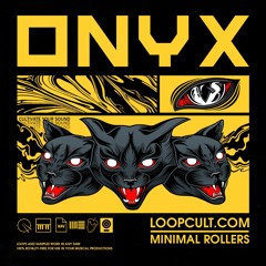 ONYX // Drum & Bass Sample Pack