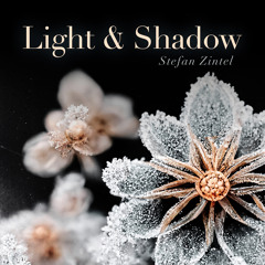 Light & Shadow Pt . 1